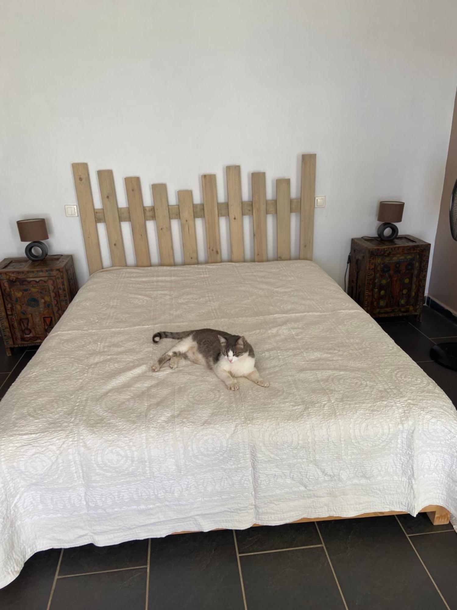 Accommodatie bij particulieren Dar Harmattan *