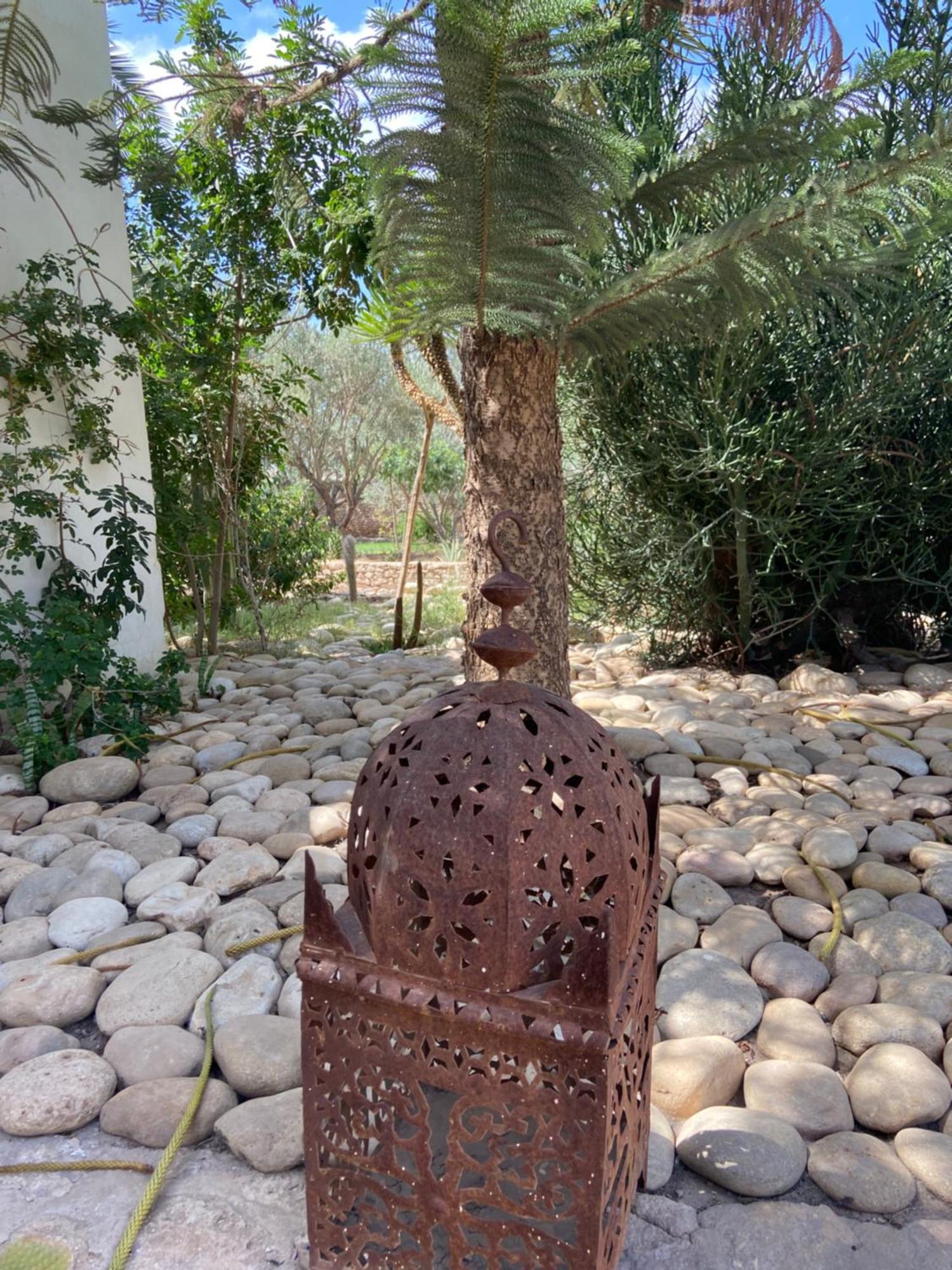 Accommodatie bij particulieren Dar Harmattan Essaouira